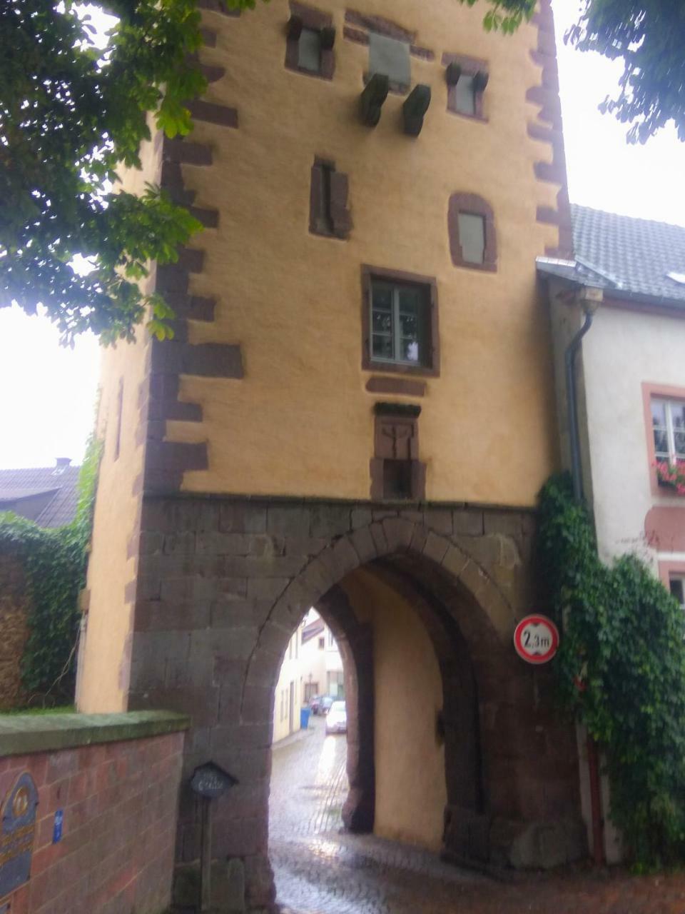 Living In History - Modern Country Cottage Dudeldorf Екстериор снимка